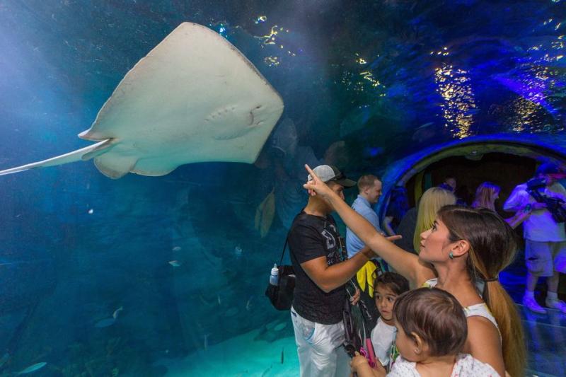 Sea Life Aquarium in Bayrampasa (Where? What to See? Top Attractions)